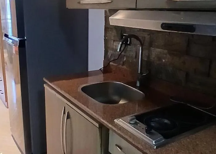 Furnished & Kitchen Seaview Beachfront Near Airport